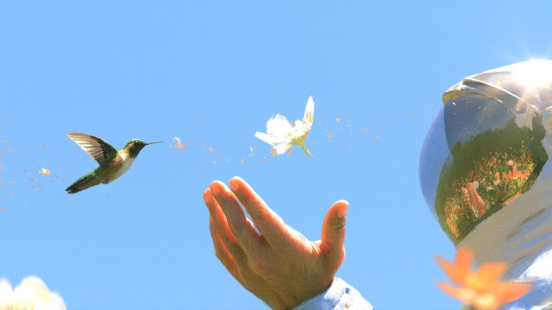 An astronaut's hands letting a hummingbird and a white flower go into a pale sky
