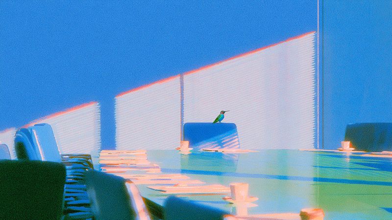 A hummingbird perched on a chair in a sunlit, blue conference room