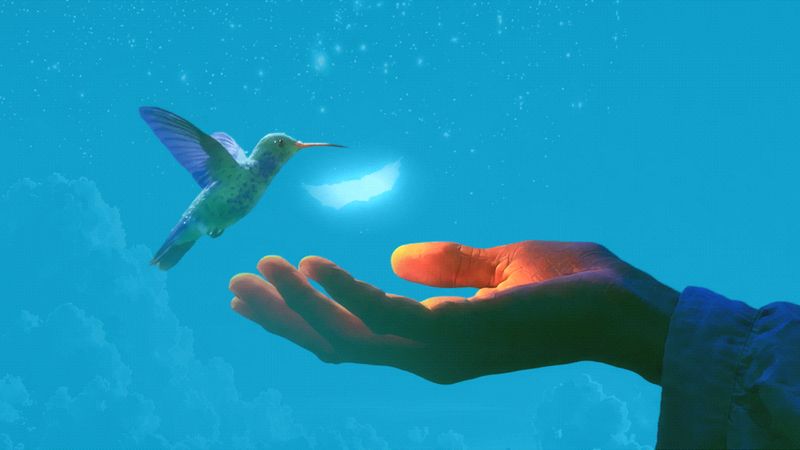 A hummingbird hovering over an open hand that holds a glowing feather, against a turquoise sky